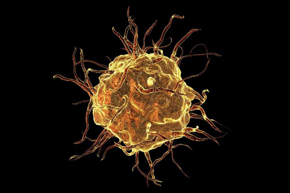 TMDs Stimulate Trained Immunity in Macrophages via Epigenetics