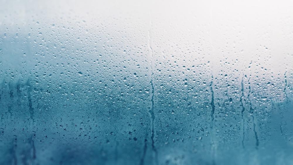 2D Material Nanocomposite Enables Ideal humidity Sensor
