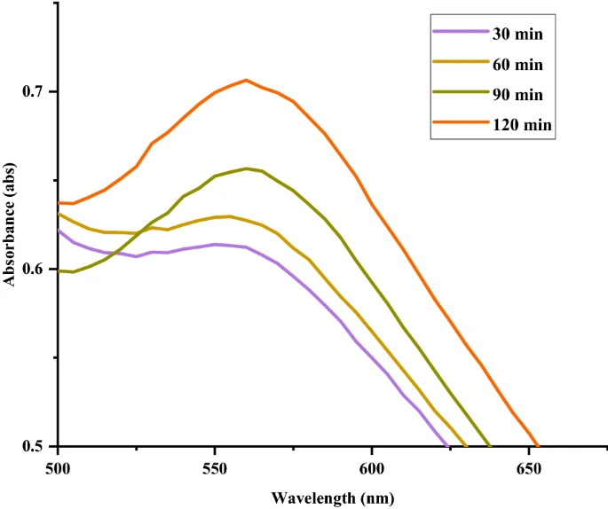 UV–Vis spectra show the changes in absorption of Au NPs at different times during synthesis.