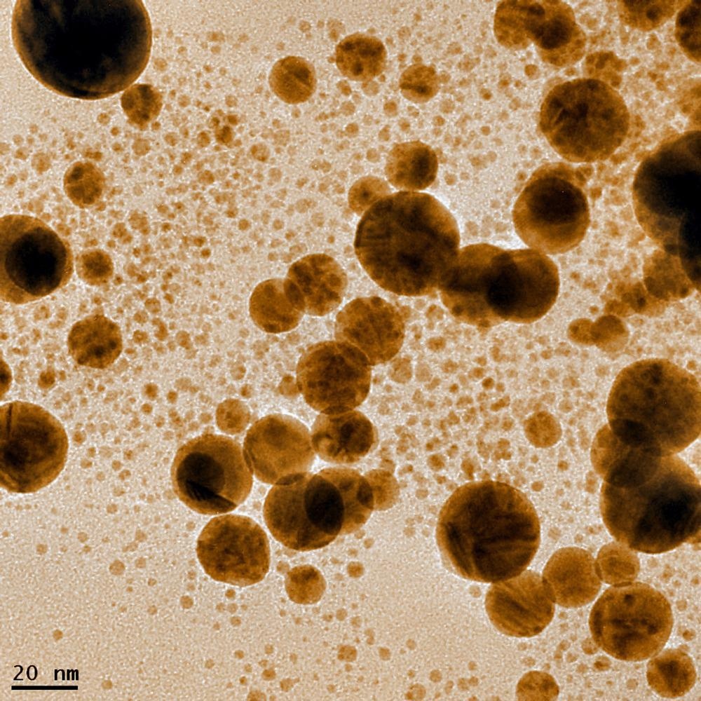 Gold Nanoparticles May Enhance Healing through Promotion of Key Proteins
