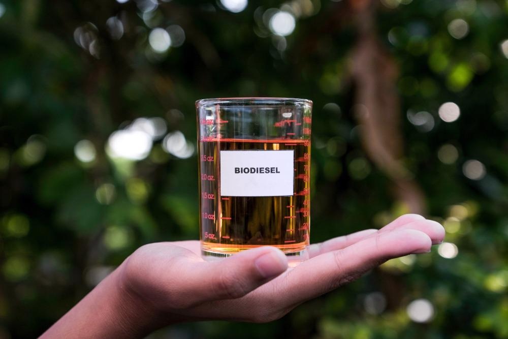 Finding the Best Nanocatalyst to Make Biodiesel from Microalgae