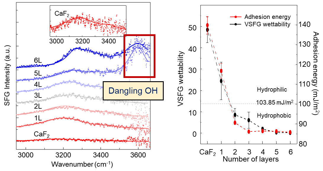 Study Demonstrates VSFG Wettability to Estimate Wettability of 2D Materials.
