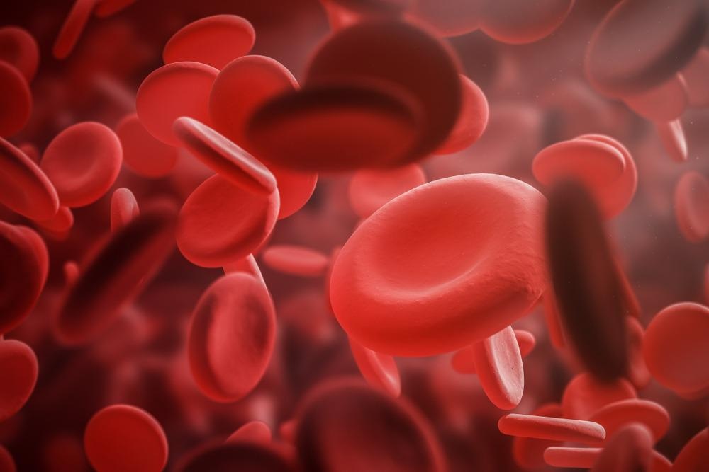 Rare Earth Element Nanoparticles Disrupt Immune System in Mouse Model