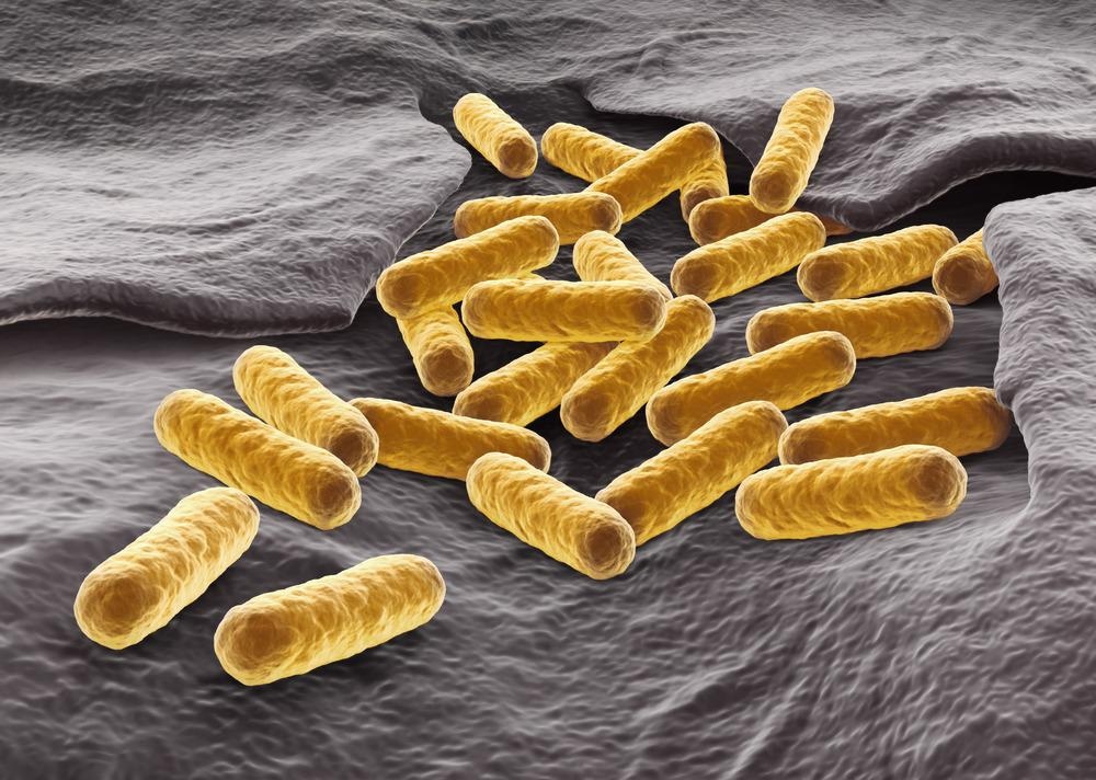 Next Generation Antibacterial Agents: Positively Charged Silver Nanoparticles