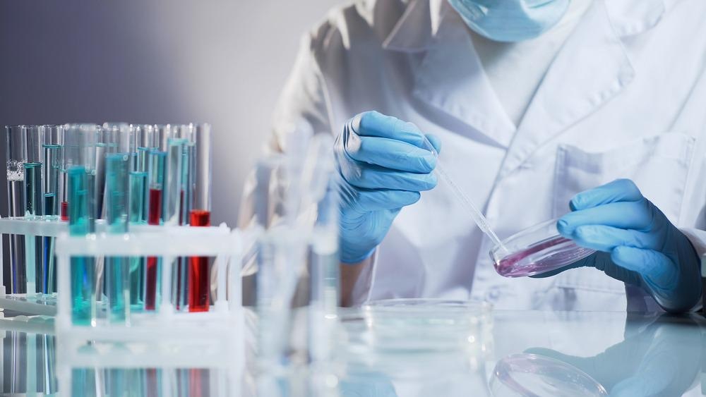 Nanotoxicological Evaluation of Bioinspired Nanomaterials
