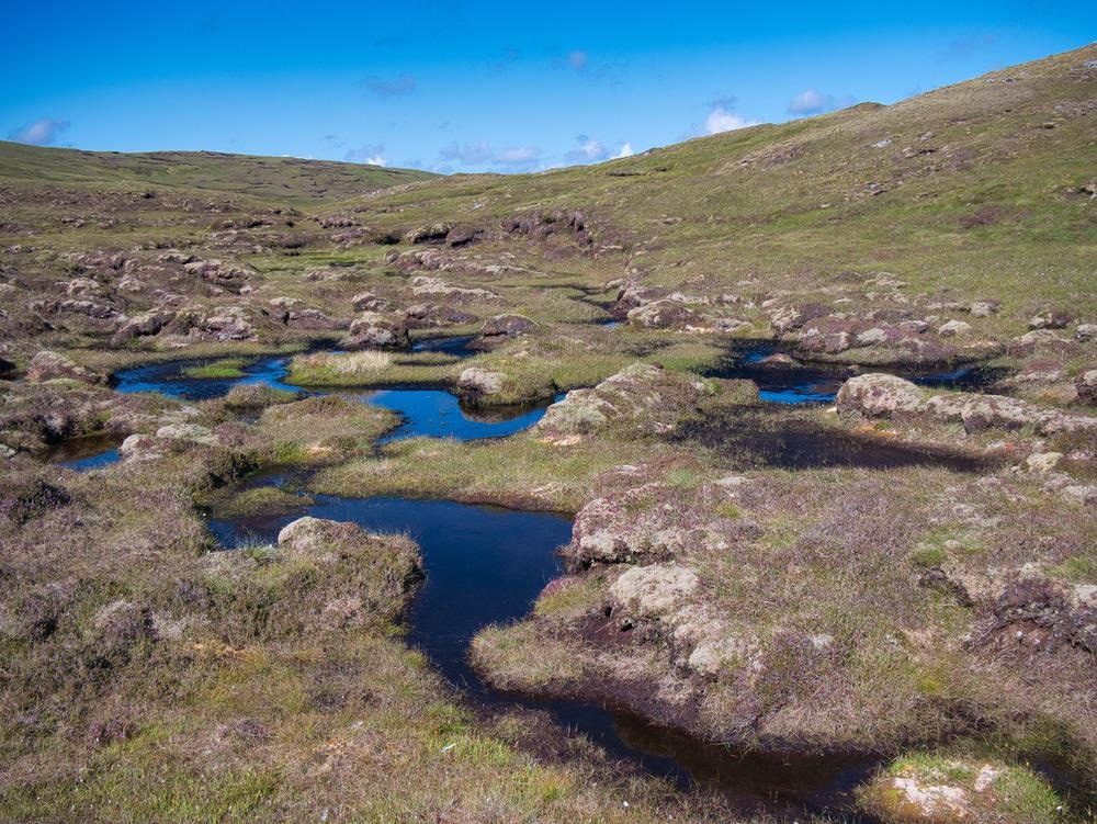 Nanocomposites Explored as Peatland Paddy Growth Media