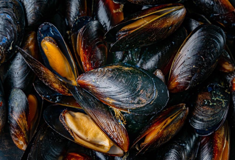 Mussels Inspire Enhanced Nanocrystal-Keratin Composites