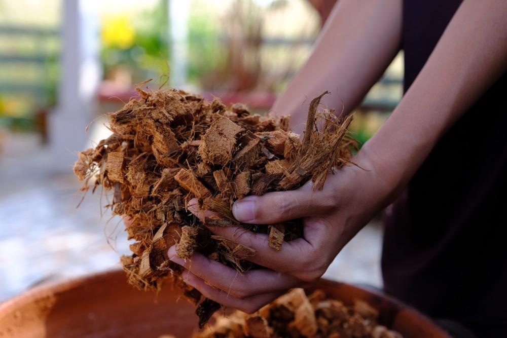 Coconut-Derived Nanocomposite has Microwave Absorption Abilities