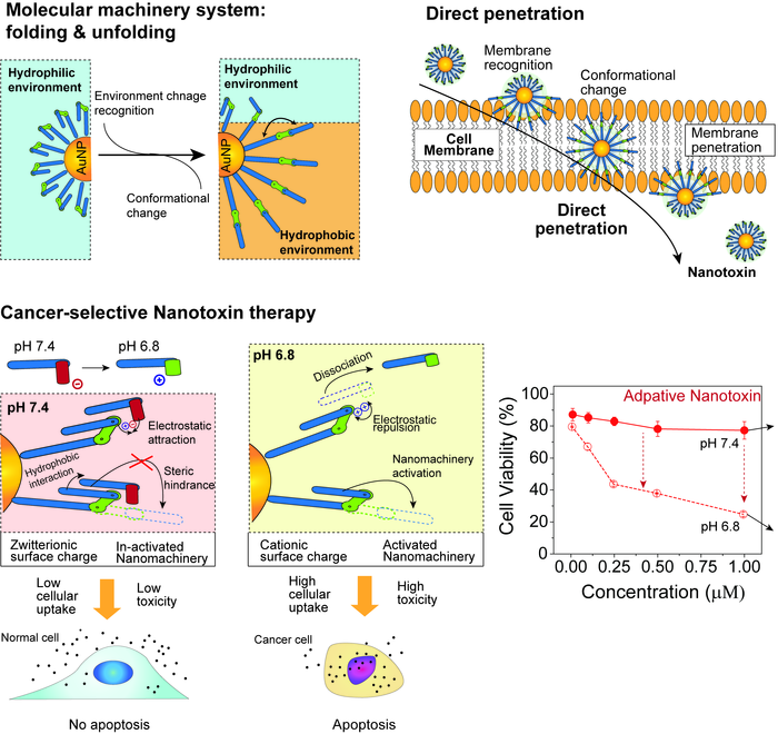 Scientists Develop Nanomachines that Use Mechanical Molecular Movements to Kill Cells.