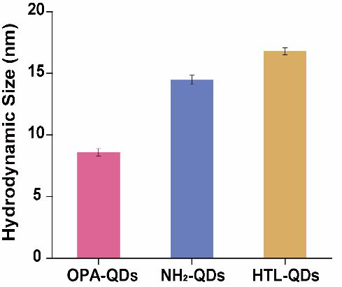 The hydrodynamic size was 8.6 ± 0.3 nm for OPA-QDs, 14.5 ± 0.4 nm for NH2-QDs, and 16.8 ± 0.3 nm for HTL-QDs. (One sample was repeated three times)
