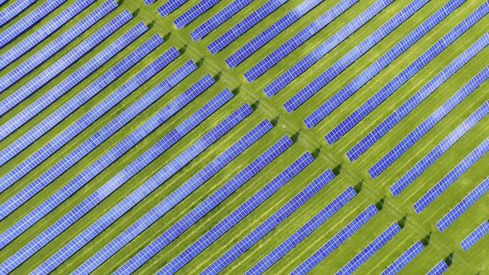 perovskite solar cells