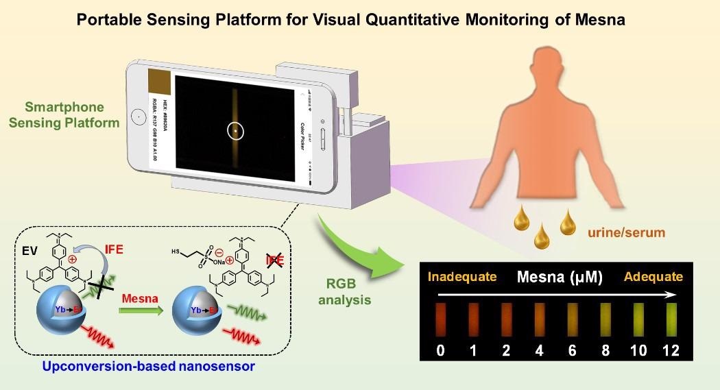 Researchers Develop a New Nanosensor for Chemotherapy Drug Detection.