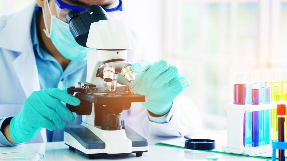 Cancer Therapy Could Benefit from Chitosan-Based Nano-Prodrugs