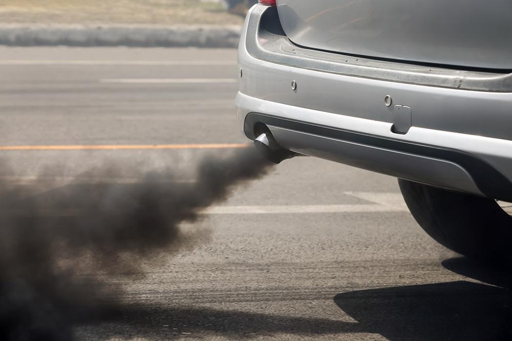Highly Sensitive TMD Sensor for NOx Gas Detection