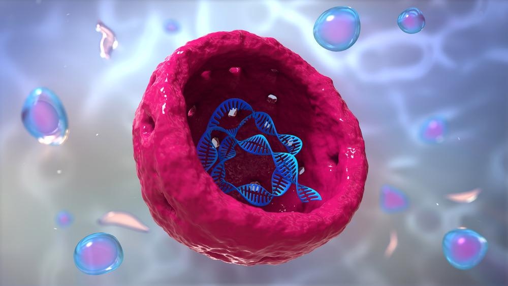 Carbon Dots Target Nucleolus and Monitor in Real Time