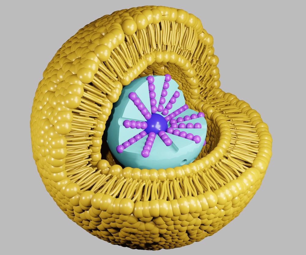 Showcasing the True Potential of SERS-based Raman Imaging for Biological Analysis