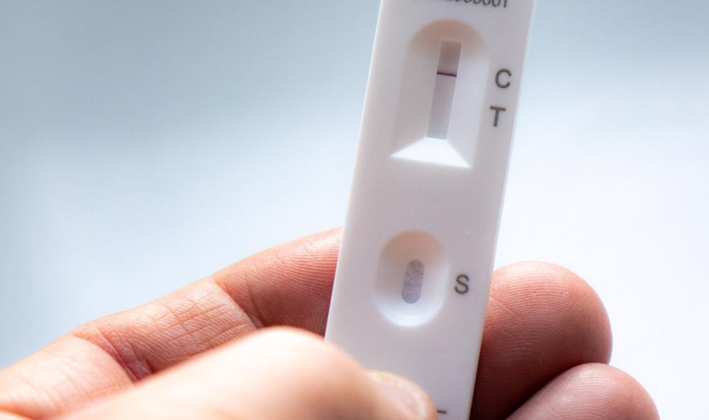 Using TMDs to Enhance Lateral Flow Immunoassay