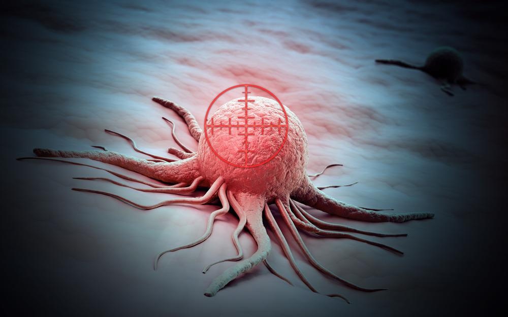 Biofunctionalized Nanosheet Strengthens Antitumor Targeting
