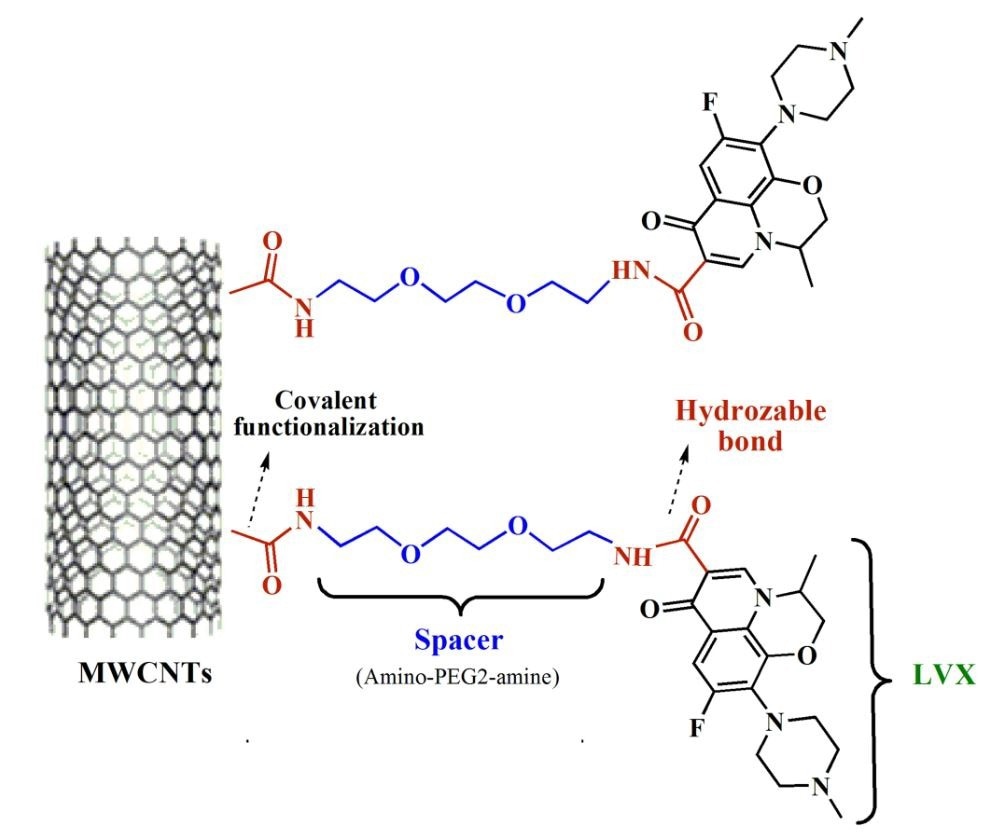 Multi-Walled Carbon Nanotubes Effective in Levofloxacine Drug Delivery
