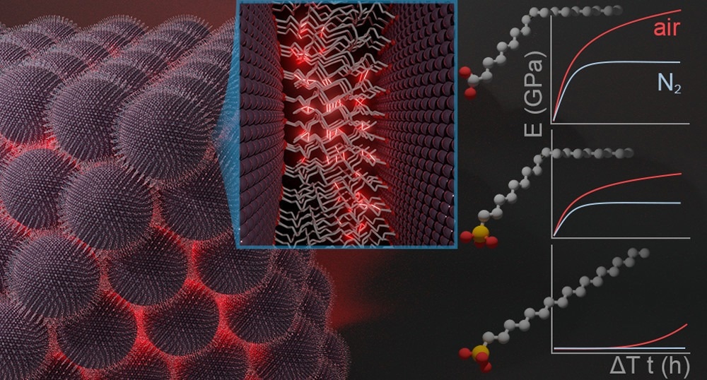 Enhancing Cohesion in Supercrystalline Nanocomposites