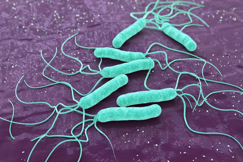 Novel FRET Immunosensor to Detect Gastric Carcinoma-Causing Bacteria
