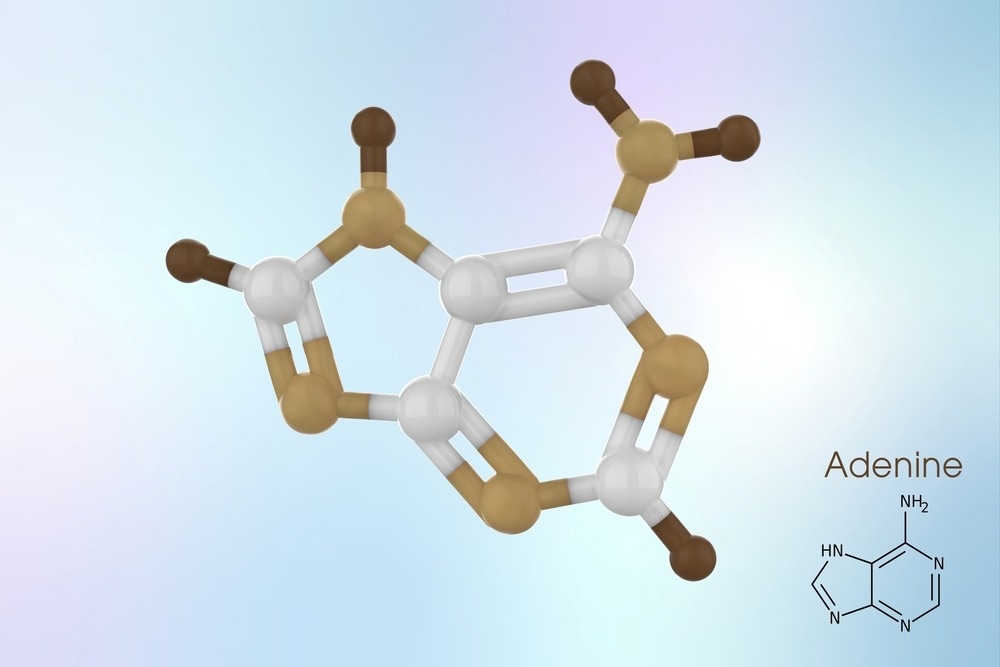 Oligonucleotide-Directed Synthesis of Chiral Gold Nanoparticles