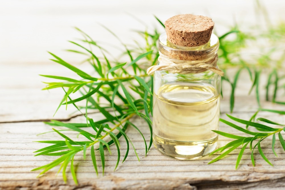 Functionalities of Essential-Oil Mediated Nanoparticles Explored