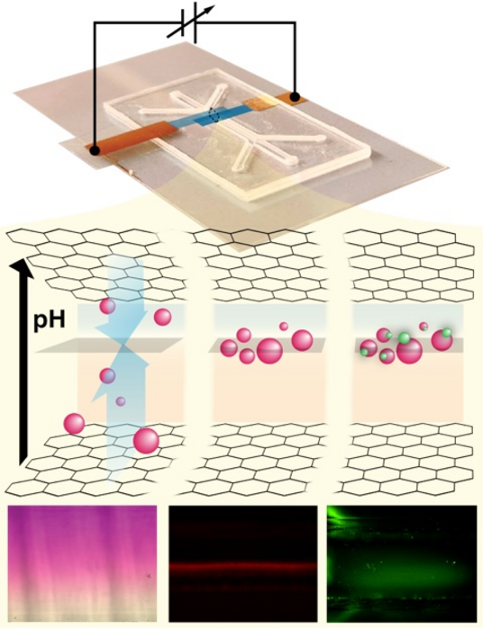 Overcoming the Challenge of Detecting Biomolecules.