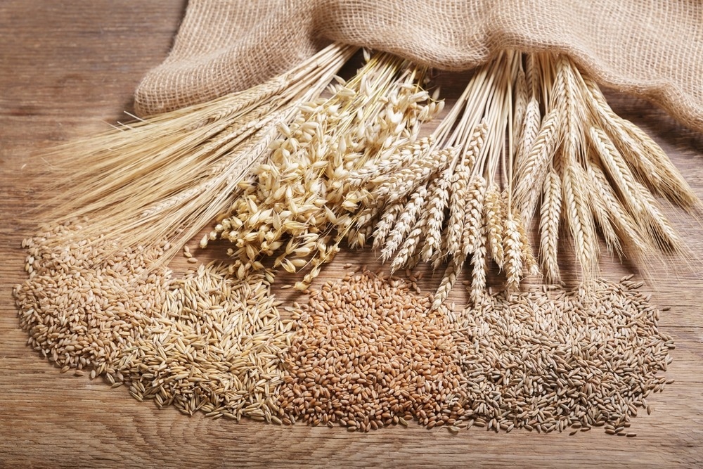 Nanoparticles Positively Impact Wheat and Barley Seed Germination