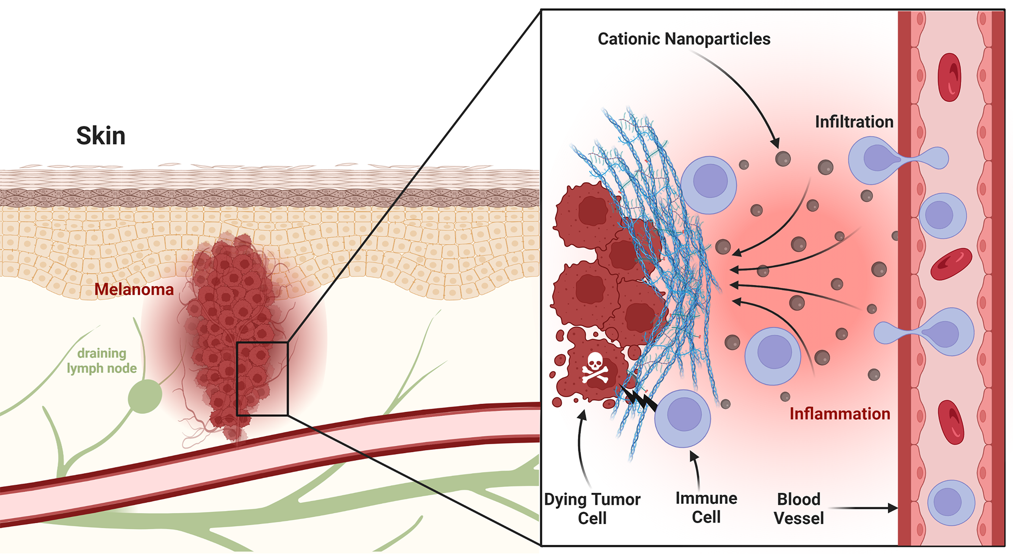 New Strategy to Overcome Cancer’s Ingenious Defenses.
