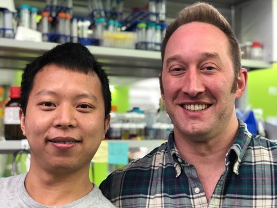 Bottom-Up Construction with a 2D Twist Could Yield Novel Materials.