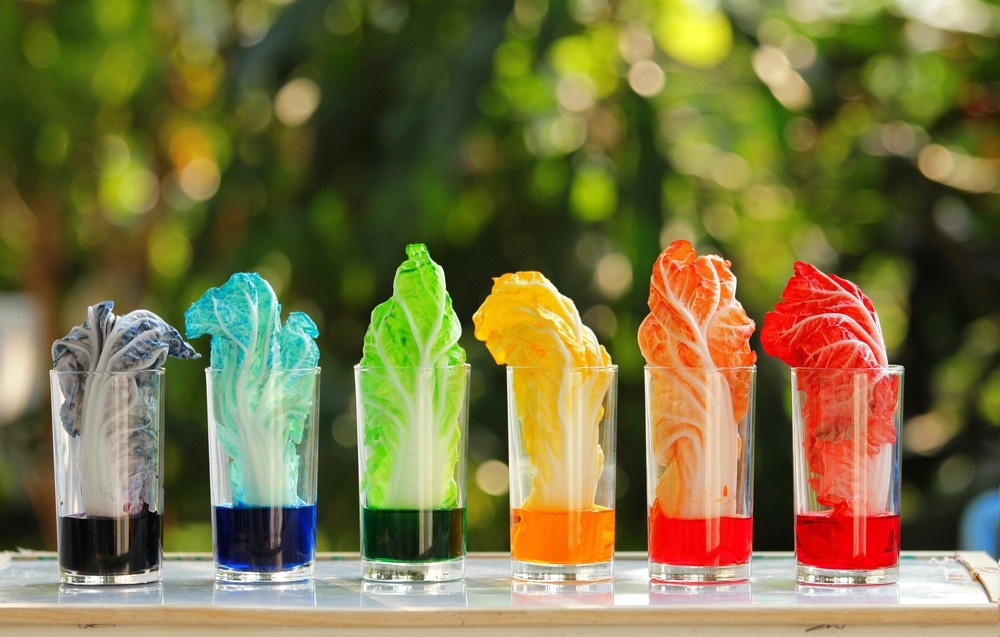 Paving the Way for Novel Food Dye Adsorbents