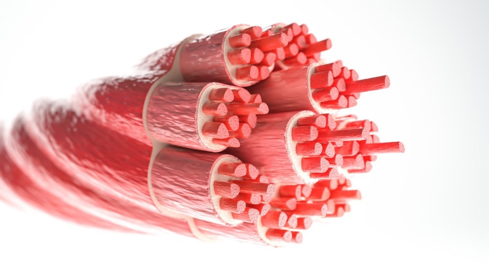 Self-Healing Hydrogels for Smart Wearable Strain Sensors Inspired by Muscles