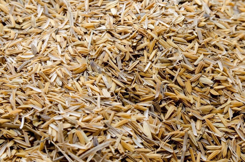 Nanofluid Derived from Rice Waste Displays Enhanced Physical Properties