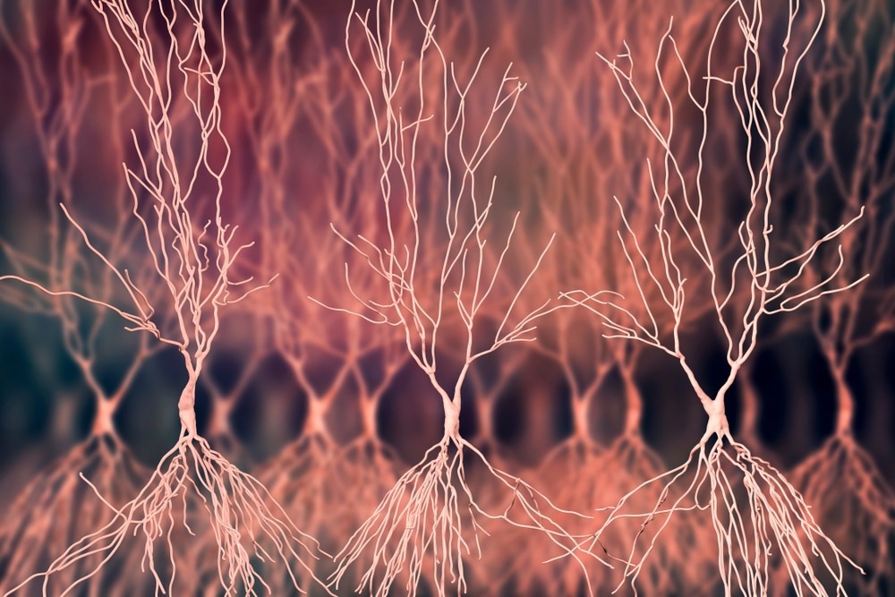 Nanoscale Thermometer Reads Temperature of Neurons Firing