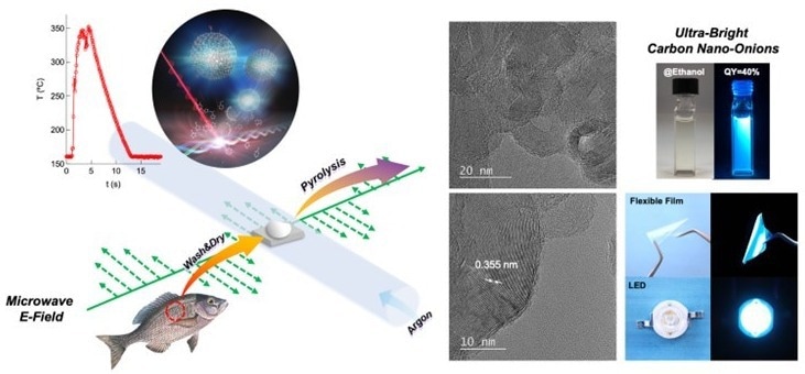 Converting Fish Waste into Carbon-Based Nanomaterial.