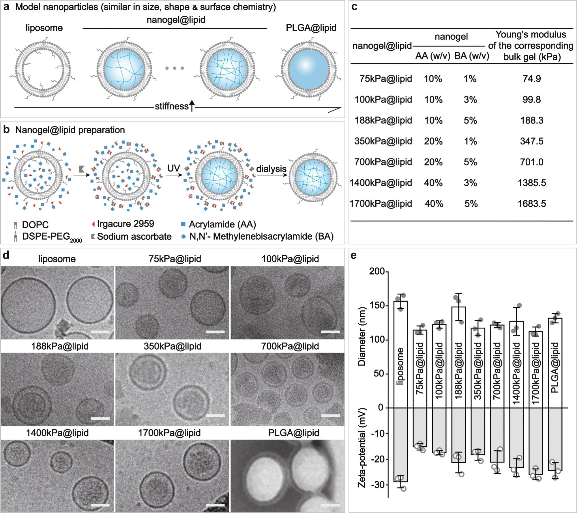 Our PEGylated model nanoparticles.