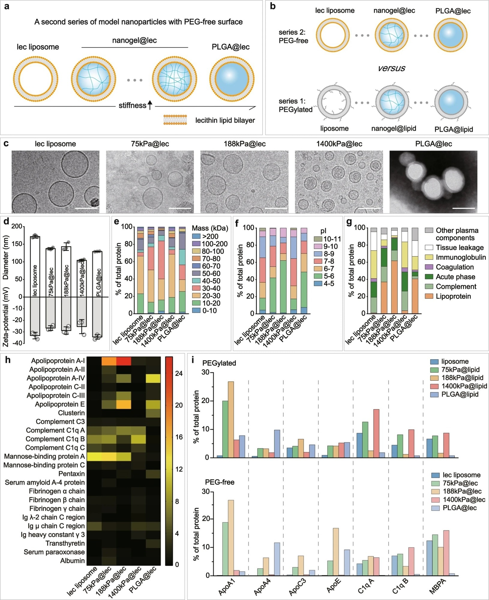 Nanoparticle elasticity overwhelms surface chemistry (PEG presence versus absence) in affecting protein corona.
