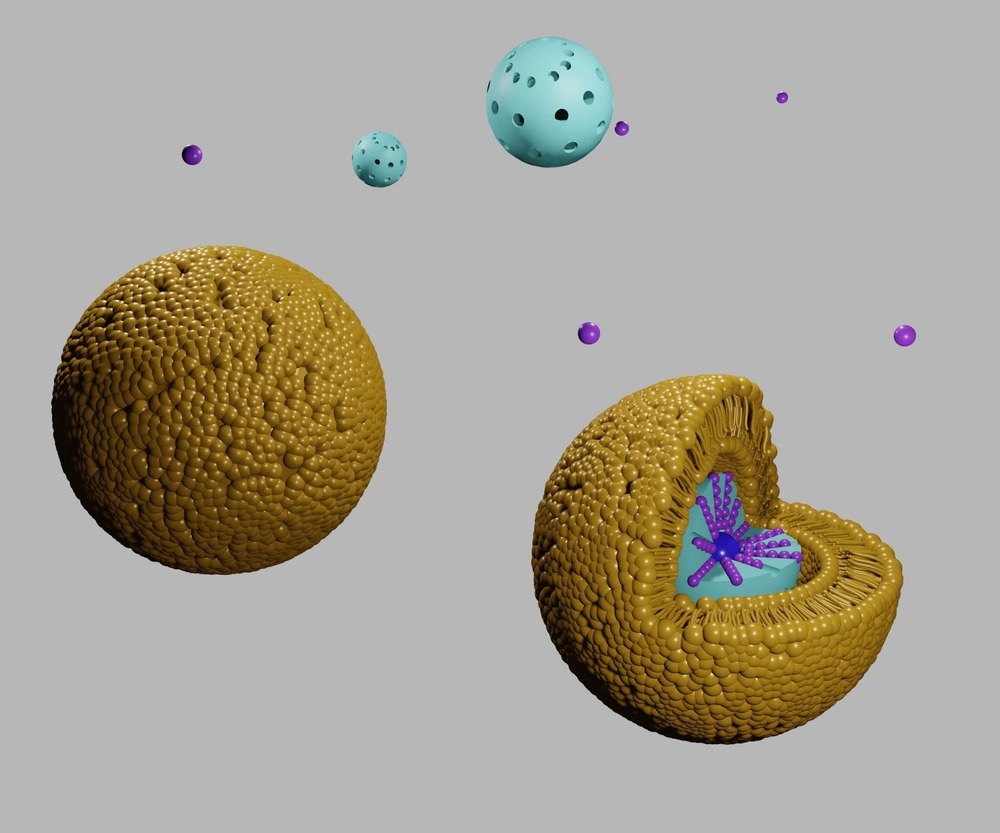Understanding How Nanoparticle Elasticity Affects Physiological Fate