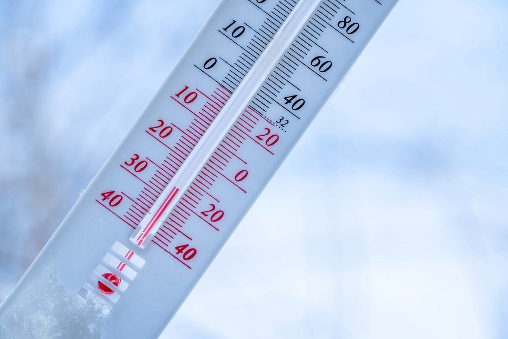 A Flexible Sensor for Real-Time Temperature Detection Using MoS2