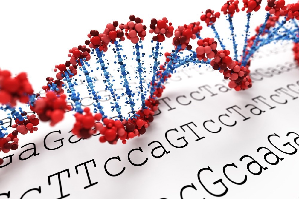 Novel SERS Platform to Detect DNA Sequences