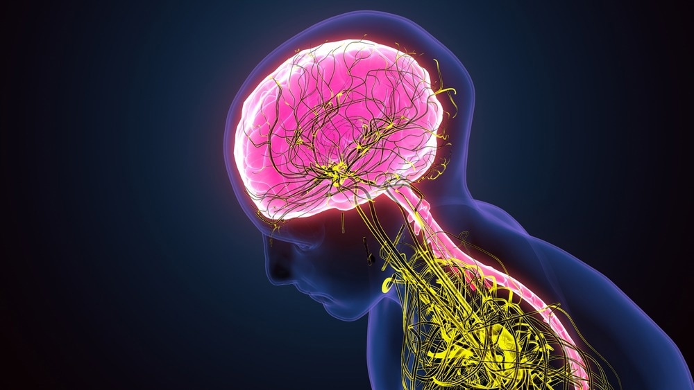 Where Does Nanotechnology Stand in Central Nervous System Disease Treatment?