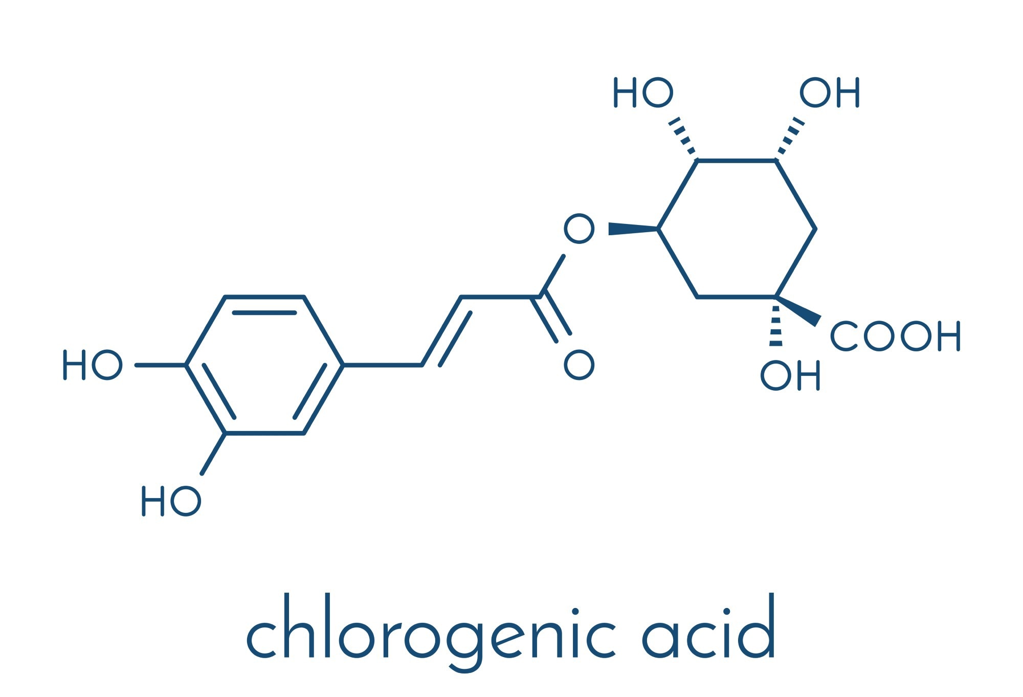 Platform to Precisely Detect Chlorogenic Acid in Drink Samples