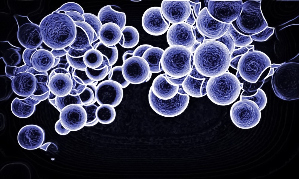 N-Doping Improves Carbon Quantum Dot Optical and Sensing Properties
