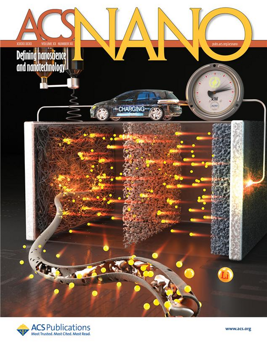 The Next-Generation Battery Research Center of the Korea Electrotechnology Research Institute conducted a study on Li-metal batteries, which was later published as a cover paper in a prestigious international journal.