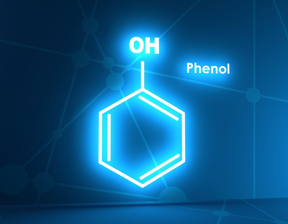 Towards High-Performance Catalysts for Targeted Phenol Hydrogenation
