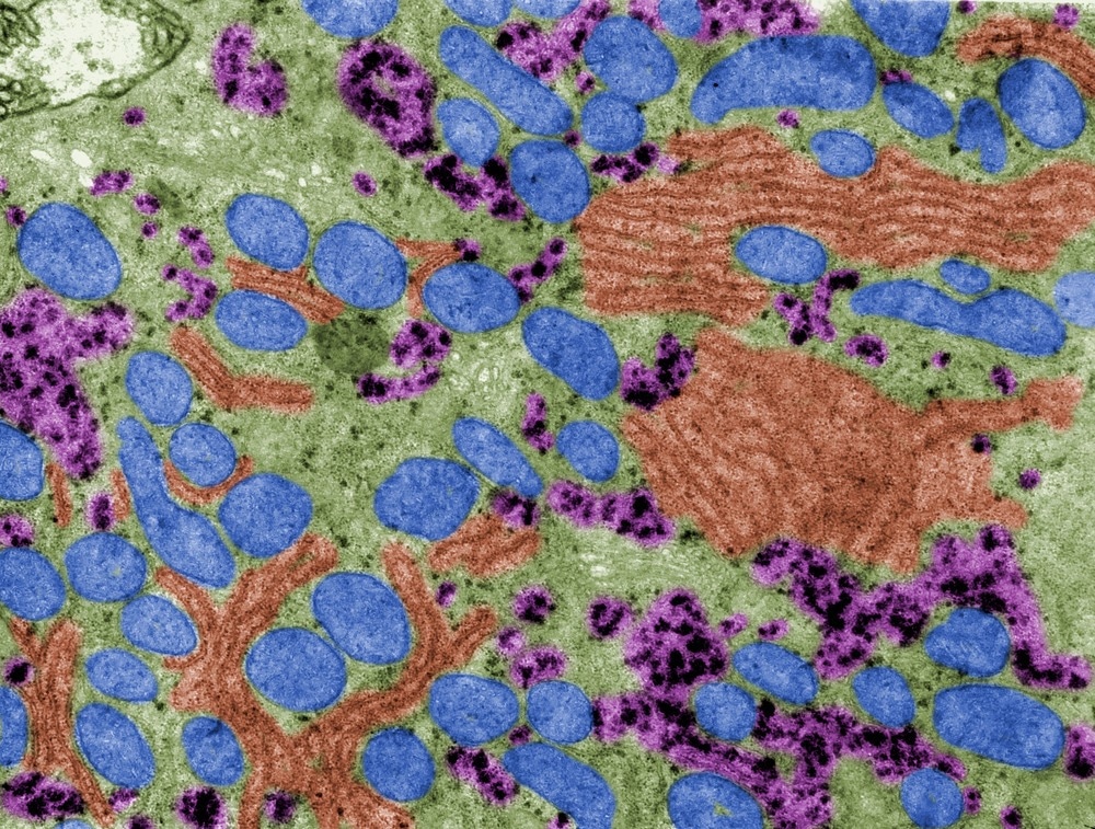 Reviewing the Fabrication of Nanopores Using TEM