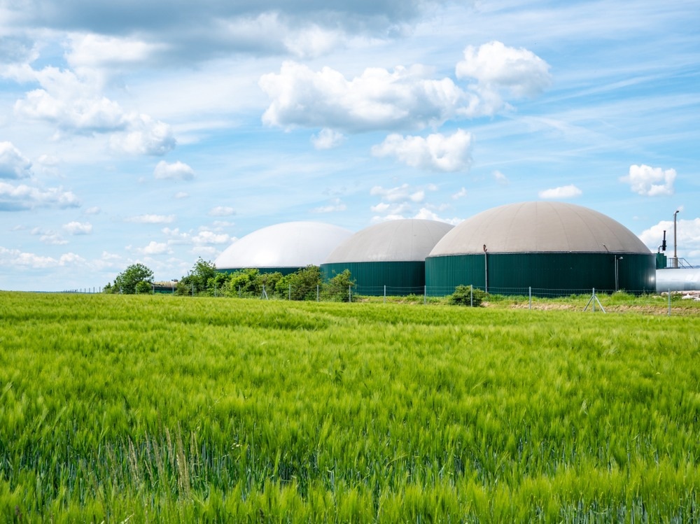 Promising Approach to Convert Biogas into Valuable Products