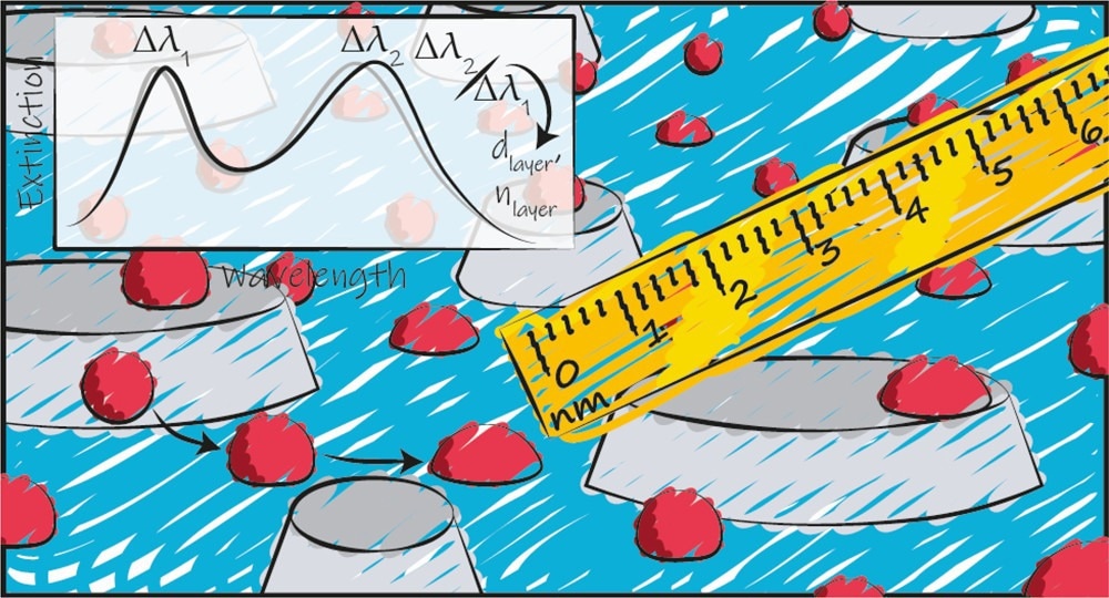 Optical Nanoruler Measures Systems at the Nanoscale in Real-Time