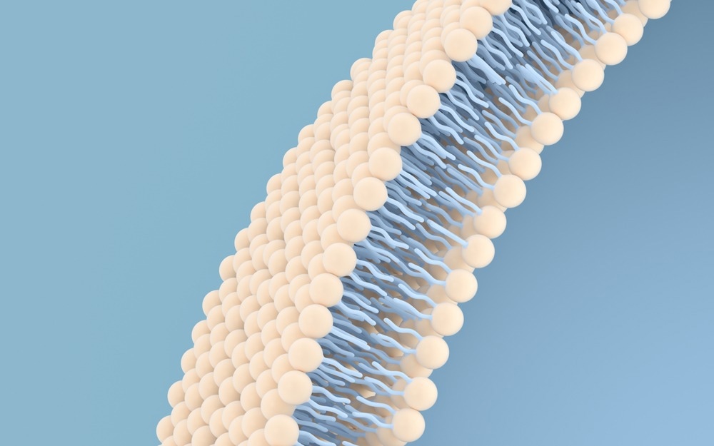 Have Cell Membrane Coated Nanoparticles Been Wrongly Understood?